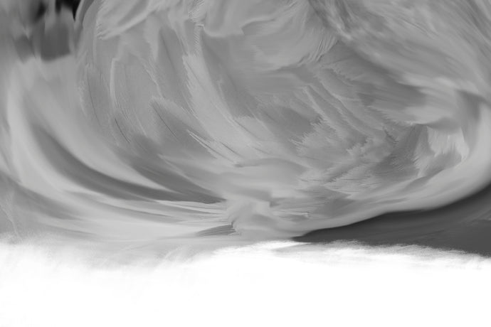 Monochromatic Feather Abstract